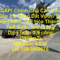 GẤP! Chính Chủ Cần Bán Gấp 3,9 Công Đất Vườn Tại Ấp Thạnh TRí, Hòa Thạnh, Tam Bình, Vĩnh Long