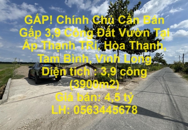 GẤP! Chính Chủ Cần Bán Gấp 3,9 Công Đất Vườn Tại Ấp Thạnh TRí, Hòa Thạnh, Tam Bình, Vĩnh Long