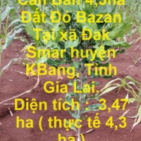 CHÍNH CHỦ Cần Bán 4,3ha Đất Đỏ Bazan Tại xã Đak Smar huyện KBang, Tỉnh Gia Lai.