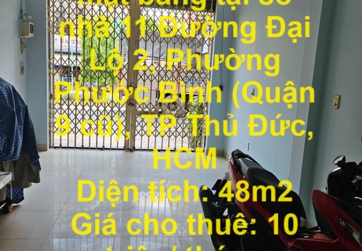 Cho thuê nhanh mặt bằng tại số nhà 11 Đường Đại Lộ 2, Phường Phước Bình (Quận 9 cũ), TP Thủ Đức, HCM