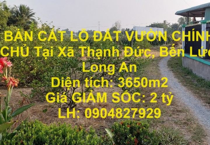 BÁN CẮT LỖ ĐẤT VƯỜN CHÍNH CHỦ Tại Xã Thạnh Đức, Bến Lức, Long An