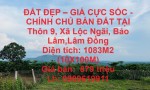 ĐẤT ĐẸP – GIÁ CỰC SỐC - CHÍNH CHỦ BÁN ĐẤT TẠI Thôn 9, Xã Lộc Ngãi, Bảo Lâm,Lâm Đồng