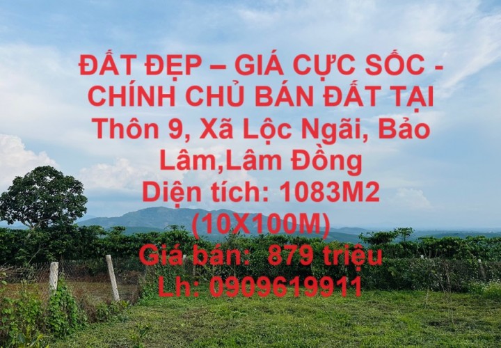 ĐẤT ĐẸP – GIÁ CỰC SỐC - CHÍNH CHỦ BÁN ĐẤT TẠI Thôn 9, Xã Lộc Ngãi, Bảo Lâm,Lâm Đồng