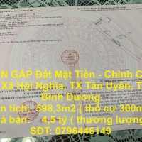 BÁN GẤP Đất Mặt Tiền - Chính Chủ Tại Xã Hội Nghĩa, TX Tân Uyên, Tỉnh Bình Dương