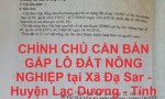 CHÍNH CHỦ CẦN BÁN GẤP LÔ ĐẤT NÔNG NGHIỆP tại  Xã Đạ Sar - Huyện Lạc Dương - Tỉnh Lâm Đồng