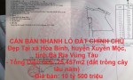 CẦN BÁN NHANH LÔ ĐẤT CHÍNH CHỦ Đẹp Tại xã Hòa Bình, huyện Xuyên Mộc, tỉnh Bà Rịa Vũng Tàu