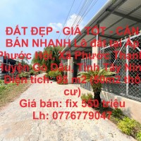 ĐẤT ĐẸP - GIÁ TỐT - CẦN BÁN NHANH Lô đất tại xã Phước Thạnh, Gò Dầu, Tây Ninh