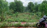 ĐẤT ĐẸP – GIÁ TỐT -  CẦN BÁN LÔ ĐẤT tại xã Nghĩa Trung, Bù Đăng - Tỉnh Bình Phước