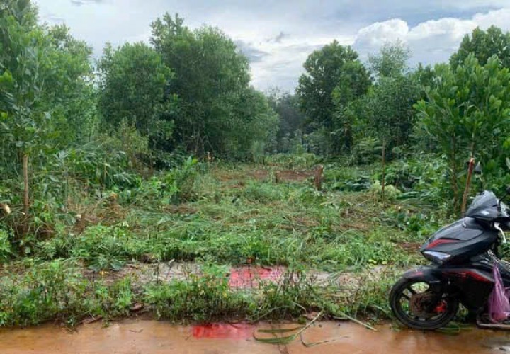 ĐẤT ĐẸP – GIÁ TỐT -  CẦN BÁN LÔ ĐẤT tại xã Nghĩa Trung, Bù Đăng - Tỉnh Bình Phước