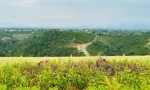 ĐẤT SIÊU ĐẸP - GIÁ ĐẦU TƯ  Cần Bán Lô Đất Vị Trí Đẹp Khu Đồi Săn Mây Tại Tân Lạc, Bảo Lâm, Lâm Đồng