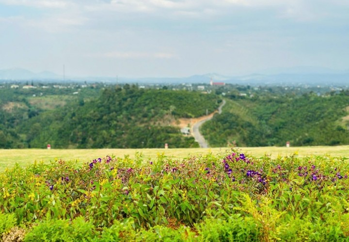 ĐẤT SIÊU ĐẸP - GIÁ ĐẦU TƯ  Cần Bán Lô Đất Vị Trí Đẹp Khu Đồi Săn Mây Tại Tân Lạc, Bảo Lâm, Lâm Đồng