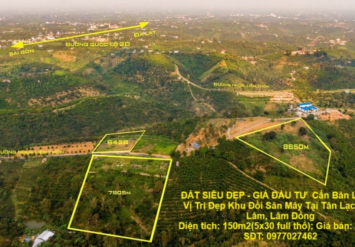 ĐẤT SIÊU ĐẸP - GIÁ ĐẦU TƯ  Cần Bán Lô Đất Vị Trí Đẹp Khu Đồi Săn Mây Tại Tân Lạc, Bảo Lâm, Lâm Đồng
