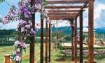 LÔ ĐẤT HIẾM - VỊ TRÍ ĐẸP- GIÁ TỐT cần bán nhanh lô đất tại Xã Lộc Phú, Bảo Lâm Lâm Đồng