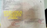LÔ ĐẤT HIẾM - VỊ TRÍ ĐẸP- GIÁ TỐT cần bán nhanh lô đất tại Xã Lộc Phú, Bảo Lâm Lâm Đồng