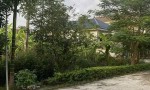 ĐẤT ĐẸP – GIÁ  TỐT - CẦN BÁN NHANH LÔ ĐẤT Mặt Tiền TẠI Xóm 5 Xã Quỳnh Ngọc, Huyện Quỳnh Lưu Tỉnh Nghệ An