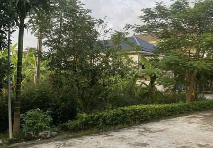 ĐẤT ĐẸP – GIÁ  TỐT - CẦN BÁN NHANH LÔ ĐẤT Mặt Tiền TẠI Xóm 5 Xã Quỳnh Ngọc, Huyện Quỳnh Lưu Tỉnh Nghệ An