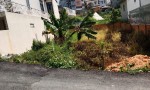 CHÍNH CHỦ CẦN BÁN NHANH LÔ ĐẤT Đường Lê Thị Riêng, Phường 7, TP Đà Lạt, Lâm Đồng