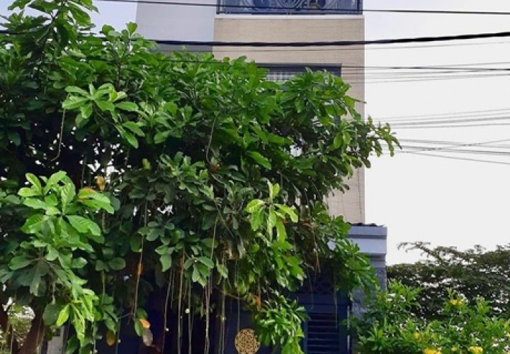 CHÍNH CHỦ BÁN NHÀ Q12 PHƯỜNG AN PHÚ ĐÔNG GẦN CẦU AN LỘC Sát Gò Vấp