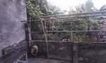 CẦN BÁN NHANH CĂN NHÀ - CỰC HIẾM - Đường Láng The, Xã Tân Thạnh Tây, Huyện Củ Chi, Tp Hồ Chí Minh