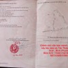 Chính chủ cần bán mảnh đất trồng cây lâu năm xã Tân Thành, Đồng Xoài , Bình Phước
