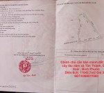 Chính chủ cần bán mảnh đất trồng cây lâu năm xã Tân Thành, Đồng Xoài , Bình Phước