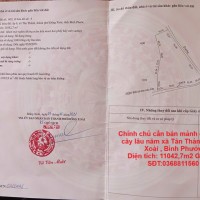 Chính chủ cần bán mảnh đất trồng cây lâu năm xã Tân Thành, Đồng Xoài , Bình Phước