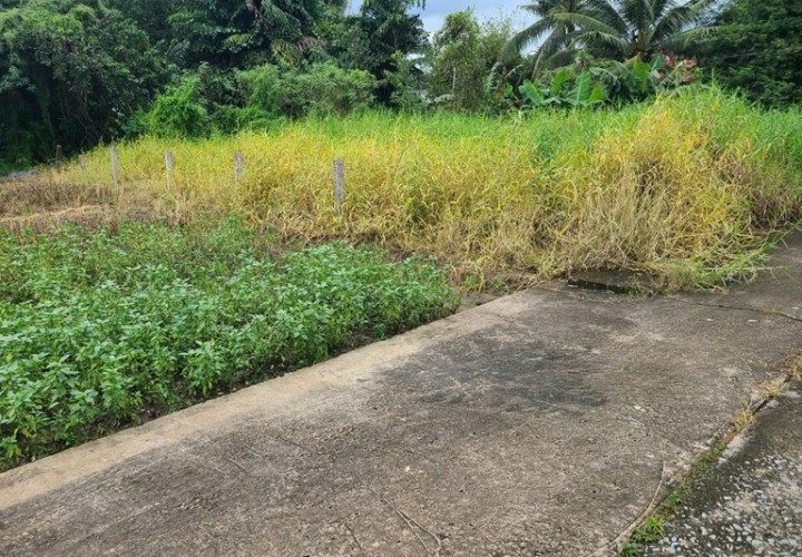 ĐẤT SIÊU ĐẸP - GIÁ TỐT - Bán GẤP Lô Đất Tiềm Năng Tại Long Khánh Xã Phước Hậu, Cần Giuộc Long An