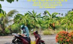 HOT HOT HOT – CẦN BÁN NHANH LÔ ĐẤT ĐẸP  Tại Hẻm 381/11A Tổ 2 Ấp 6B, Xã Bình Mỹ, Huyện Củ Chi, HCM