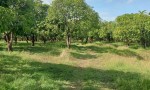 CẦN BÁN NHANH LÔ ĐẤT VỊ TRÍ ĐẸP TẠI xã Phú Lý, Vĩnh Cửu, Đồng Nai