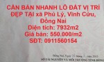 CẦN BÁN NHANH LÔ ĐẤT VỊ TRÍ ĐẸP TẠI xã Phú Lý, Vĩnh Cửu, Đồng Nai