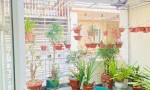 Chính Chủ Bán Nhà 4 tầng ở Chợ Lũng, phường Đằng Hải, quận Hải An, thành phố Hải Phòng