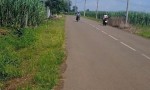 Cần Bán Đất Vị Trí Đẹp Tại Đường Ruộng Tre, Ấp Thọ An, Xã Xuân Bắc, Xuân Lộc. Đồng Nai.