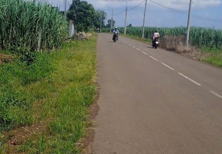 Cần Bán Đất Vị Trí Đẹp Tại Đường Ruộng Tre, Ấp Thọ An, Xã Xuân Bắc, Xuân Lộc. Đồng Nai.
