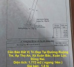 Cần Bán Đất Vị Trí Đẹp Tại Đường Ruộng Tre, Ấp Thọ An, Xã Xuân Bắc, Xuân Lộc. Đồng Nai.