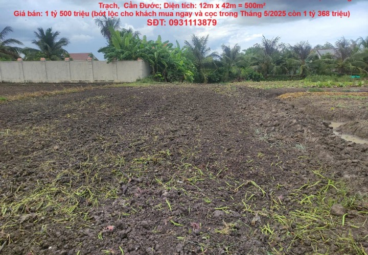 CHÍNH CHỦ BÁN GẤP LÔ ĐẤT 500m2 GIÁ TỐT – NGAY KHU VUI CHƠI TRẺ EM SUNKIDS, Xã Long Trạch,  Cần Đước