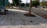 ĐẤT ĐẸP - MẶT TIỀN - Chính Chủ Bán Lô Đất Ngay KCN Tân Đô, Đường Số 7, Đức Hòa, Long An