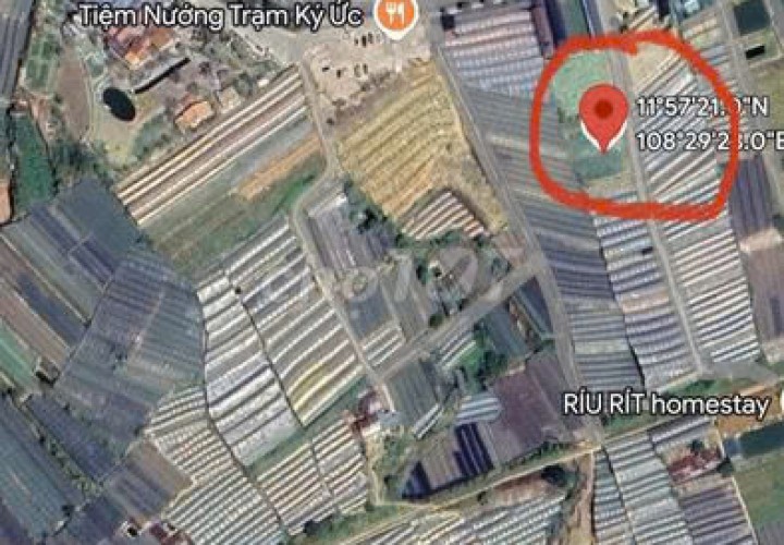 CHÍNH CHỦ CẦN BÁN LÔ ĐẤT Huỳnh Tấn Phát, Phường 11, TP Đà Lạt, Lâm Đồng - GIÁ CỰC ƯU ĐÃI.