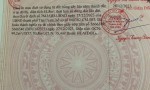 ĐẤT ĐẸP - GIÁ TỐT - CHÍNH CHỦ CẦN BÁN NHANH LÔ ĐẤT Tân Vĩnh Hiệp, Tân Uyên, Bình Dương