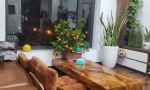 CĂN HỘ ĐẸP - GIÁ TỐT Chính chủ bán nhanh căn chung cư view đẹp tại Mễ Trì Thượng - trung tâm Nam Từ Liêm