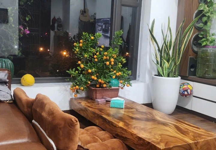 CĂN HỘ ĐẸP - GIÁ TỐT Chính chủ bán nhanh căn chung cư view đẹp tại Mễ Trì Thượng - trung tâm Nam Từ Liêm