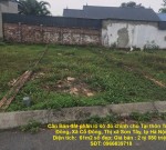 Cần Bán đất phân lô sổ đỏ chính chủ Tại thôn Triều Đông, Xã Cổ Đông, Thị xã Sơn Tây, tp Hà Nội