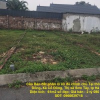 Cần Bán đất phân lô sổ đỏ chính chủ Tại thôn Triều Đông, Xã Cổ Đông, Thị xã Sơn Tây, tp Hà Nội