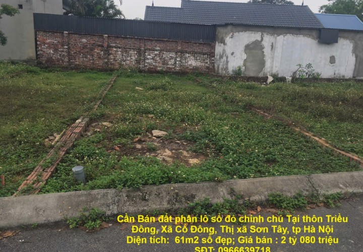 Cần Bán đất phân lô sổ đỏ chính chủ Tại thôn Triều Đông, Xã Cổ Đông, Thị xã Sơn Tây, tp Hà Nội