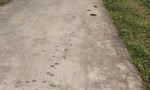GIÁ TỐT - CHÍNH CHỦ Cần Bán Nhanh Đất Thổ Cư Tại Xã Nghi Văn, Nghi Lộc, Nghệ An