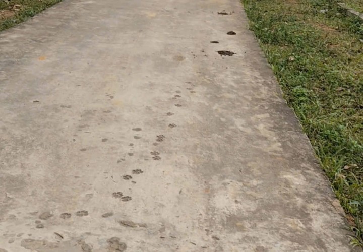 GIÁ TỐT - CHÍNH CHỦ Cần Bán Nhanh Đất Thổ Cư Tại Xã Nghi Văn, Nghi Lộc, Nghệ An