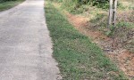 GIÁ TỐT - CHÍNH CHỦ Cần Bán Nhanh Đất Thổ Cư Tại Xã Nghi Văn, Nghi Lộc, Nghệ An