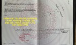 CHÍNH CHỦ Cần Bán Đất Tại Đường Lò Rèn, Phường 5, TP Bạc Liêu