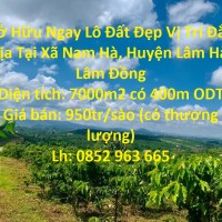 Sở Hữu Ngay Lô Đất Đẹp Vị Trí Đắc Địa Tại Xã Nam Hà, Huyện Lâm Hà, Lâm Đồng