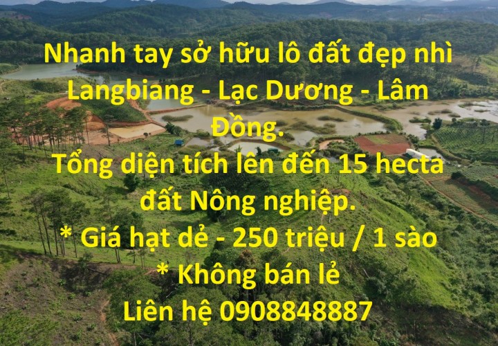 Nhanh tay sở hữu lô đất đẹp nhì Langbiang - Lạc Dương - Lâm Đồng.
