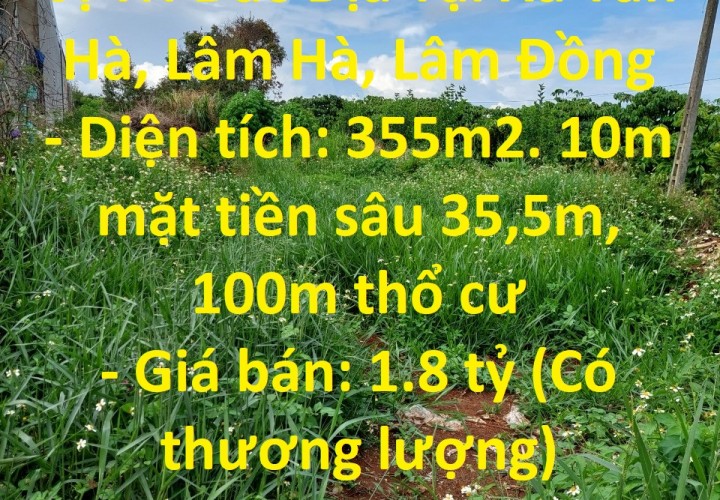 Sở Hữu Ngay Lô Đất Đẹp Vị Trí Đắc Địa Tại Xã Tân Hà, Lâm Hà, Lâm Đồng